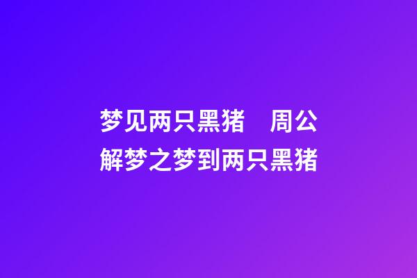梦见两只黑猪　周公解梦之梦到两只黑猪